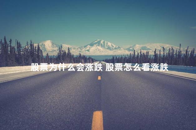 股票为什么会涨跌 股票怎么看涨跌